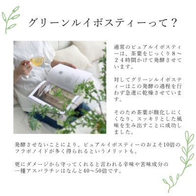 センネンボクティーリーフ1００枚 センネンボクティーリーフ100枚