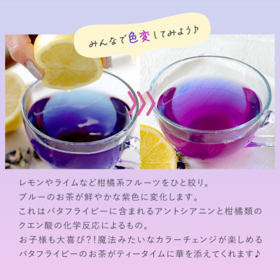 バタフライピー 1.5g×13包[M便 1/3] ハニーブッシュベースのお茶 H&F