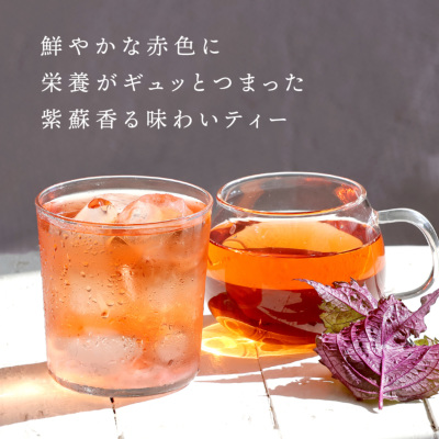 CUBE］塩 赤しそルイボスティー 1.5g×20包 塩 H&F BELX ノン