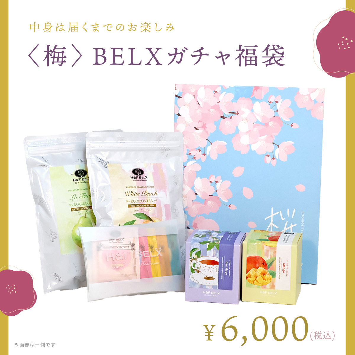 期間限定お値下げ！早い者勝ち！　florian illiesさん　２冊セット 梅＞BELXガチャ福袋（人気のルイボスティー）H&F BELX福袋2026年