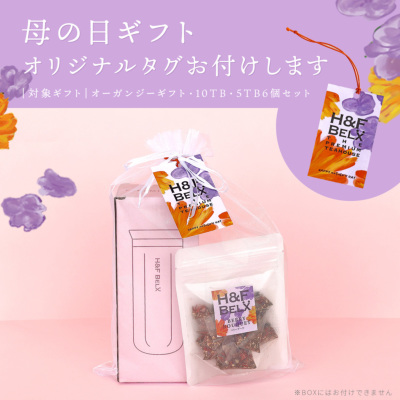 母の日ギフト｜ルイボスティー＆タンブラーセット （ベリーブーケ